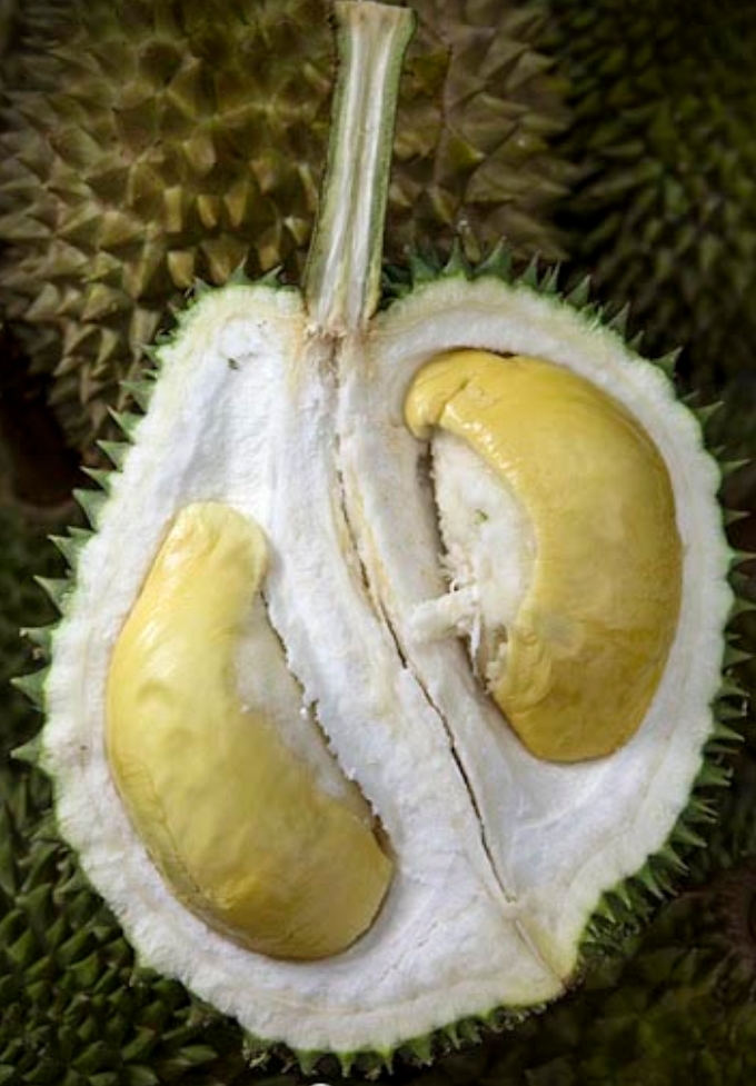 D145 Cheh Kah image placeholder 1