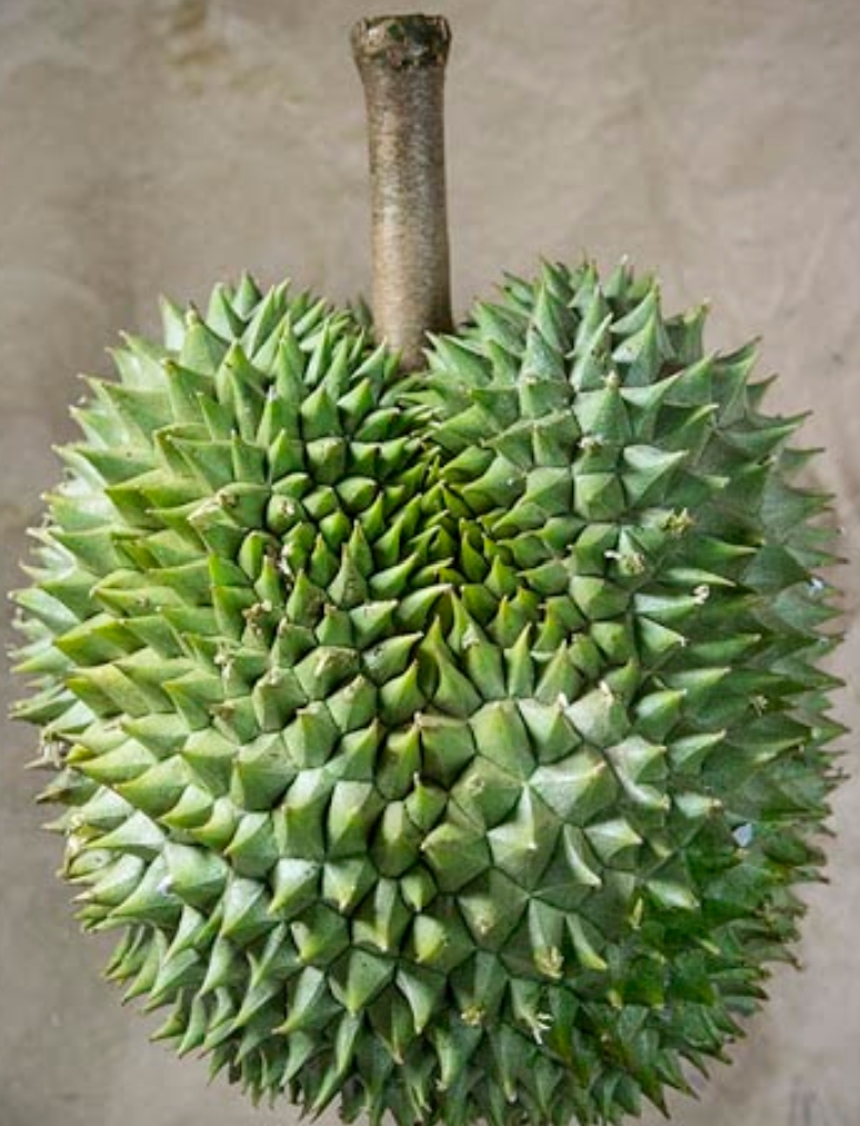 D145 Cheh Kah image placeholder 2