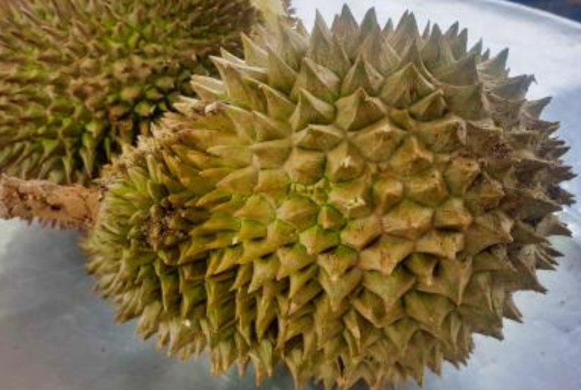 D100 image placeholder 1