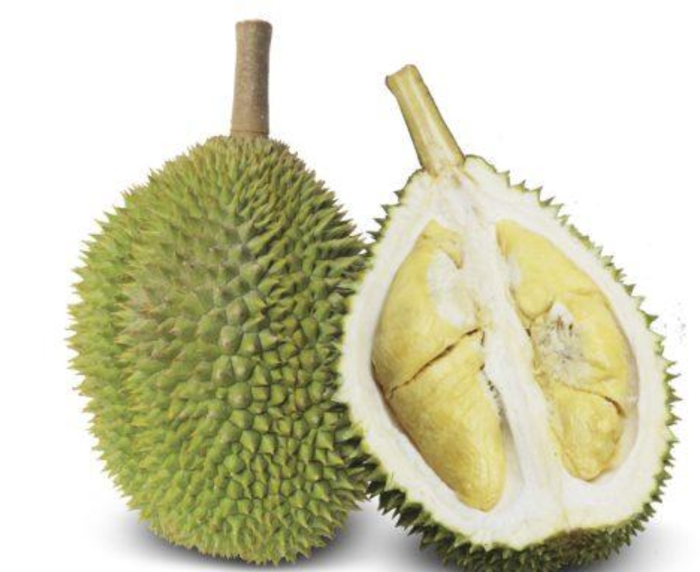 D13 image placeholder 2