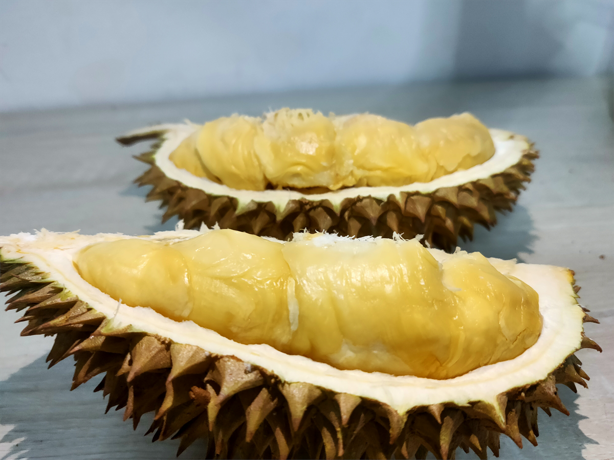 D2 Dato Nina image placeholder 1