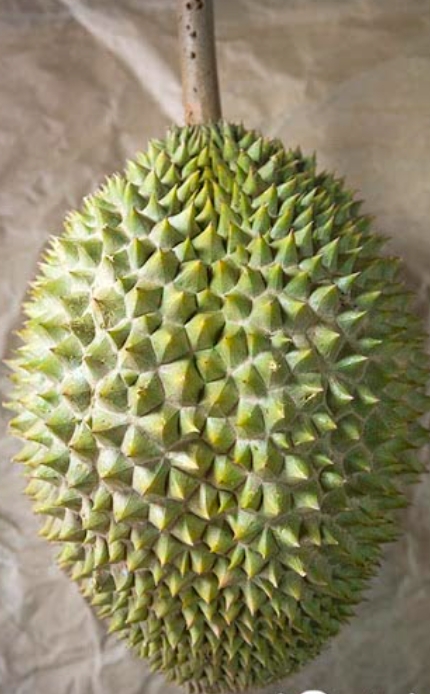 D78 image placeholder 1