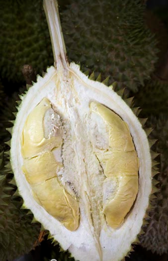 D78 image placeholder 2