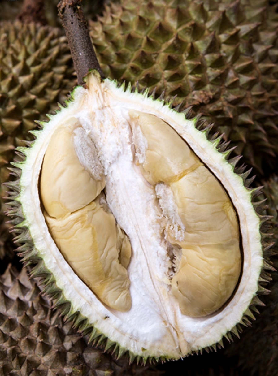 Golden Phoenix image placeholder 1