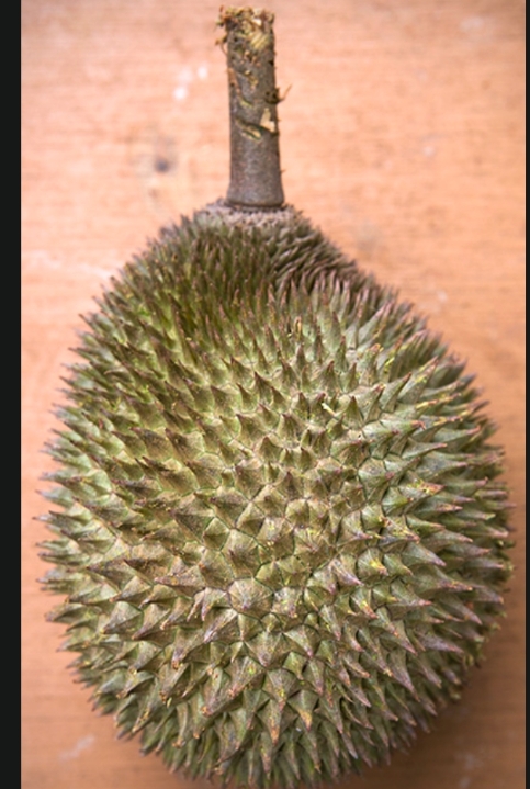 Golden Phoenix image placeholder 2