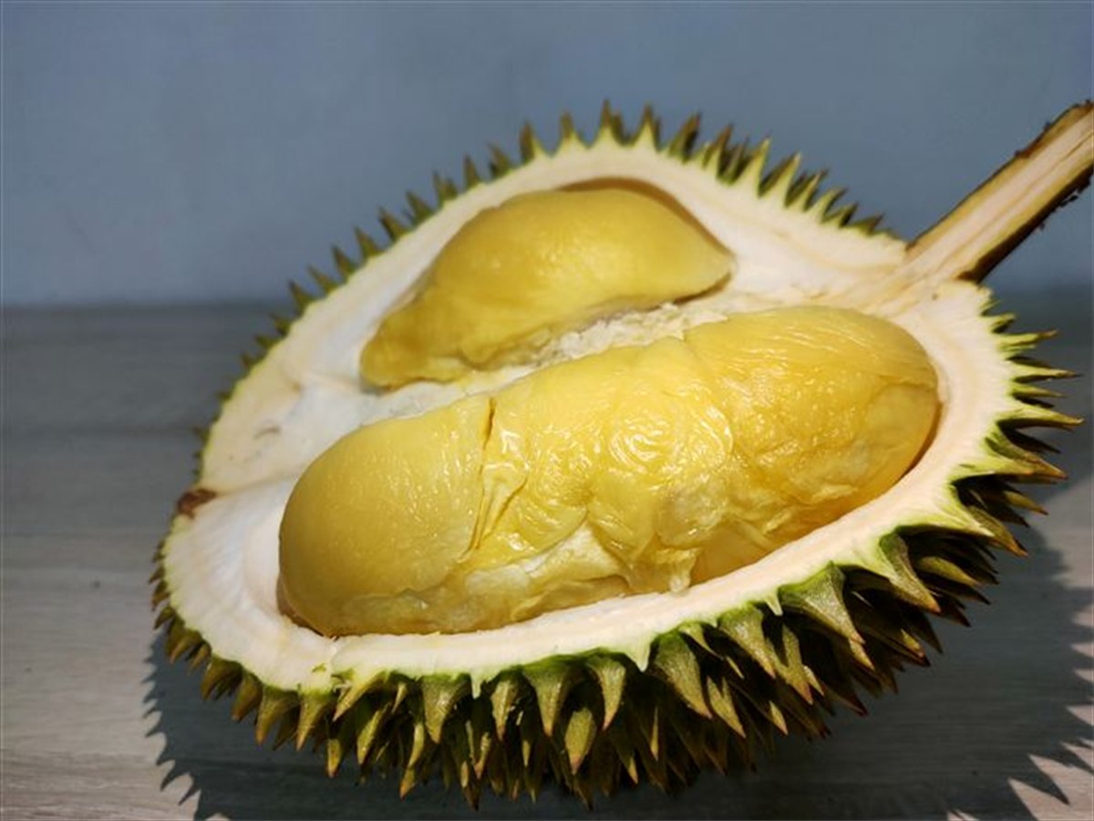 Group 1 related product placeholder