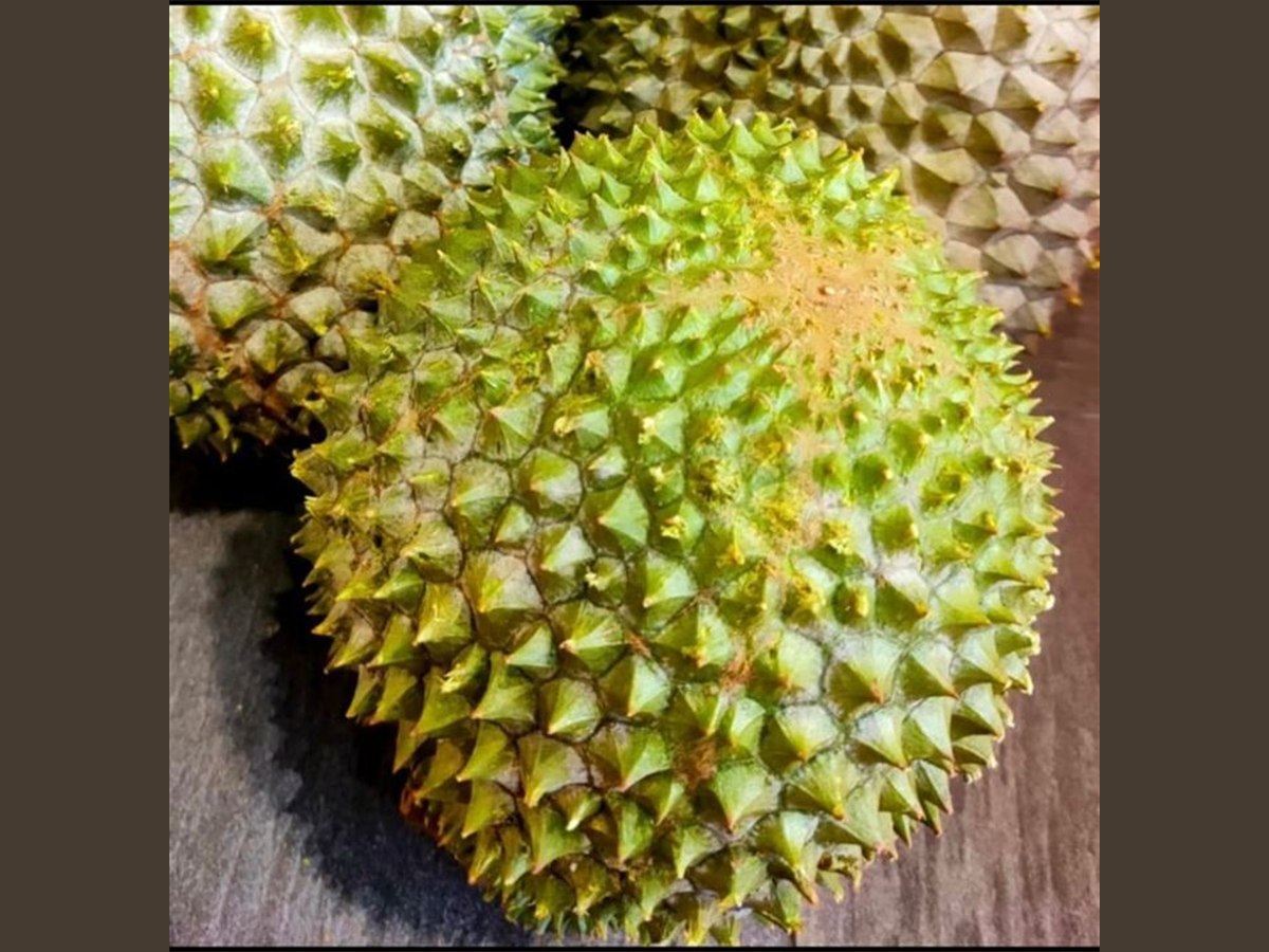 Group 2 related product placeholder