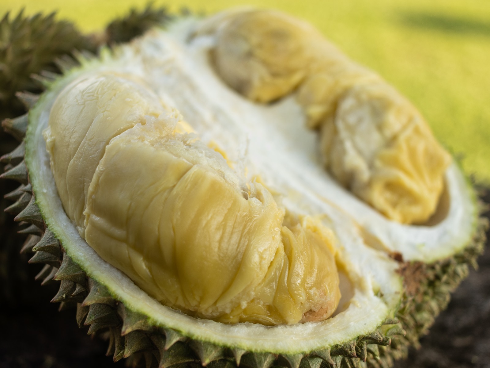 Kampung durian image 2