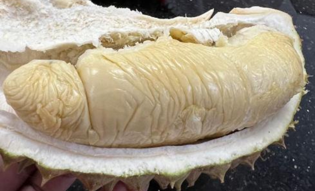 Kasap Merah image placeholder 1