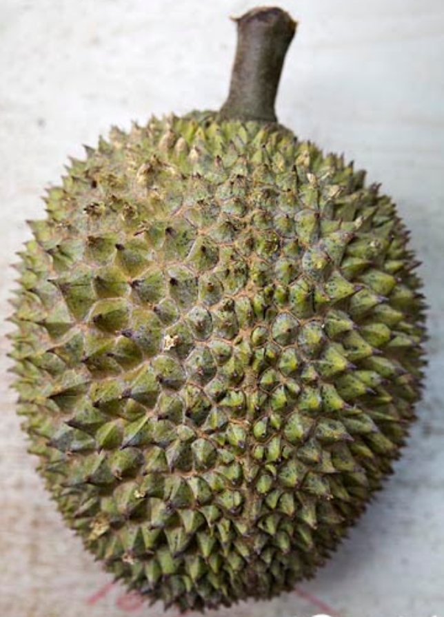 Kasap Merah image placeholder 2