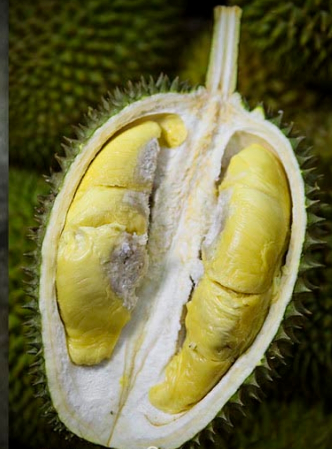 Lao Tai Po image placeholder 1