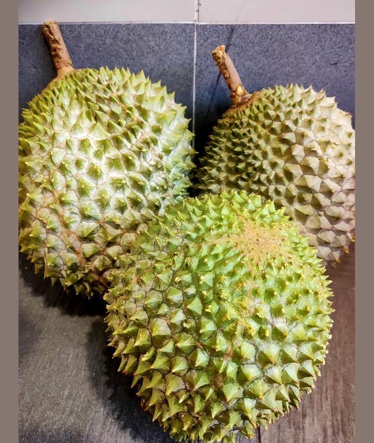 Mini Mao Shan Wang durian