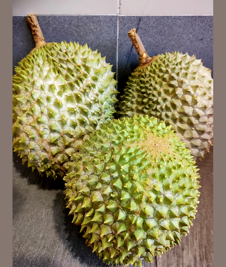 Mini Mao Shan Wang durian