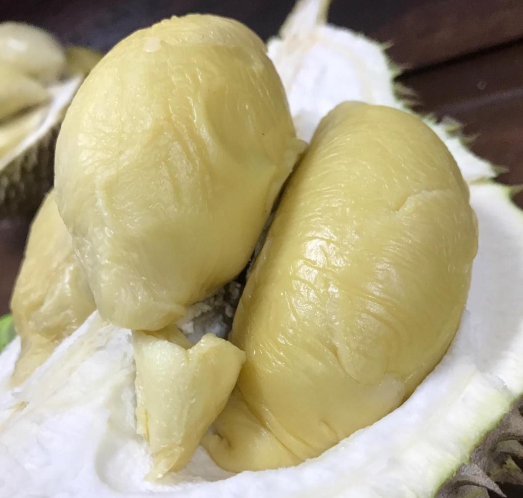 XO image placeholder 1