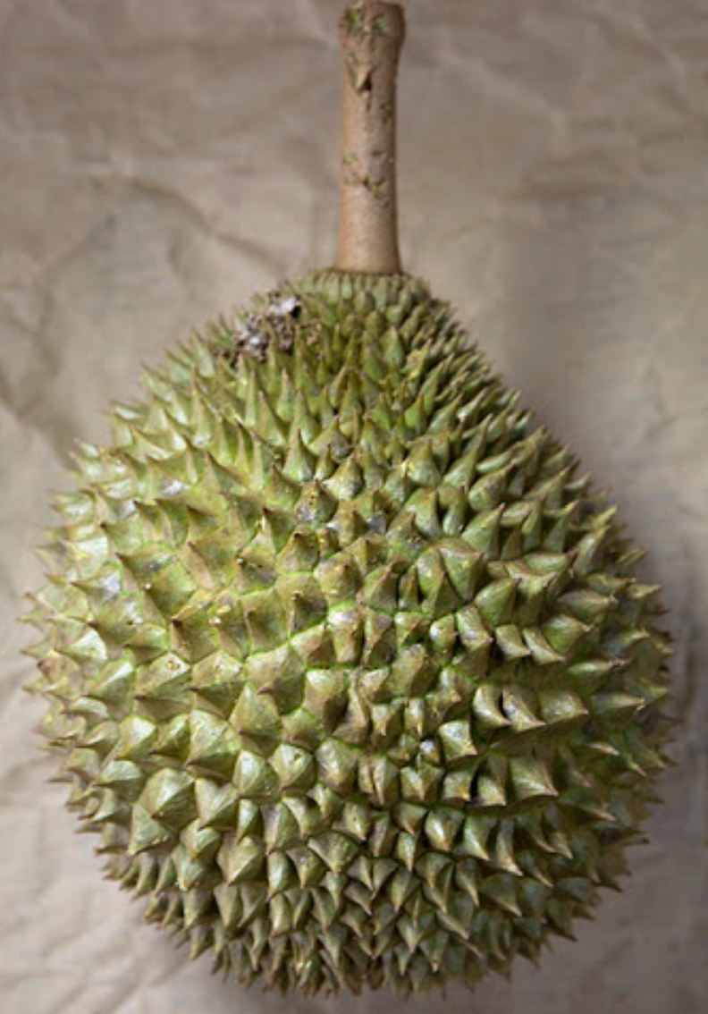 XO image placeholder 2